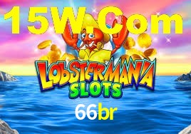 66br